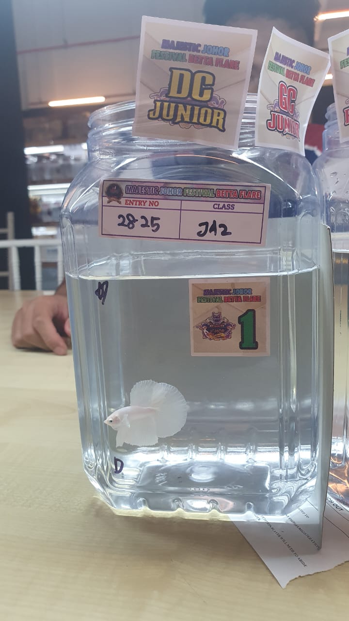 betta